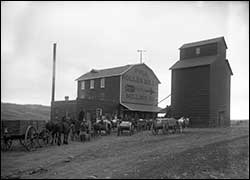 In 1890, the Arrow Mill was built on the south bank of the Birdtail River at the north end of 10th Street.